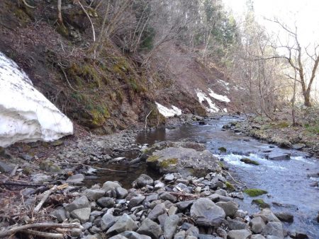 渓流ミノーイング